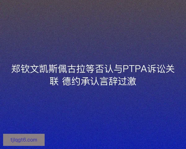 郑钦文凯斯佩古拉等否认与PTPA诉讼关联 德约承认言辞过激