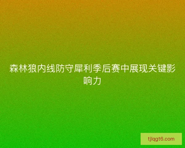 森林狼内线防守犀利季后赛中展现关键影响力