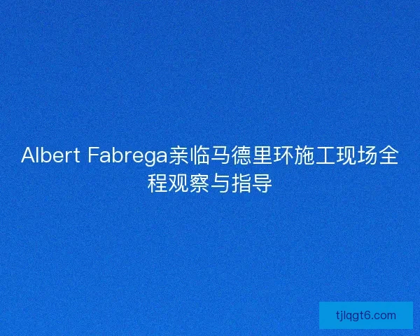 Albert Fabrega亲临马德里环施工现场全程观察与指导