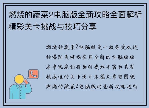 燃烧的蔬菜2电脑版全新攻略全面解析精彩关卡挑战与技巧分享